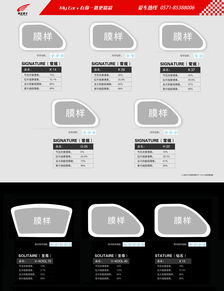 金秋煥新，駕享無憂——騰飛麥卡汽車服務連鎖九月單頁設計方案